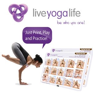 Live Yoga Life at Yoga Bazaar