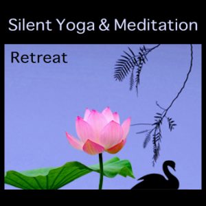 silent yoga retreat